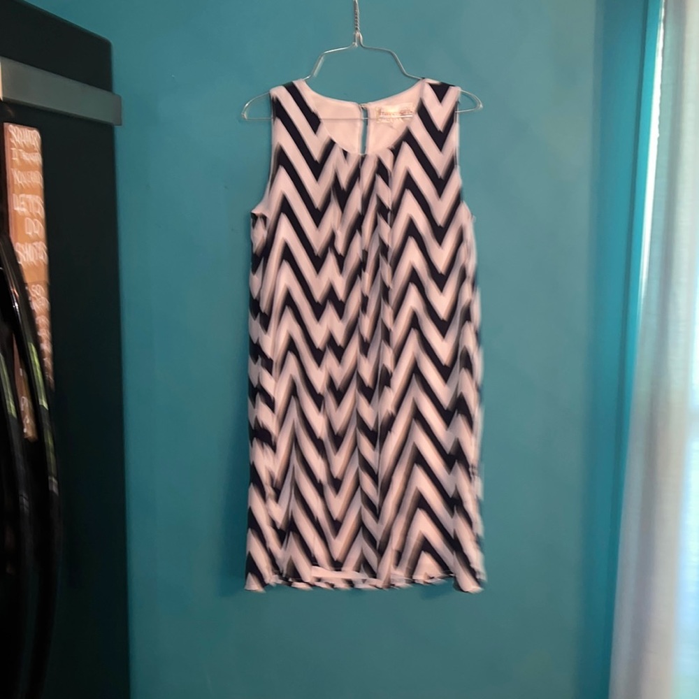 Size Small Francesca’s Shift Dress